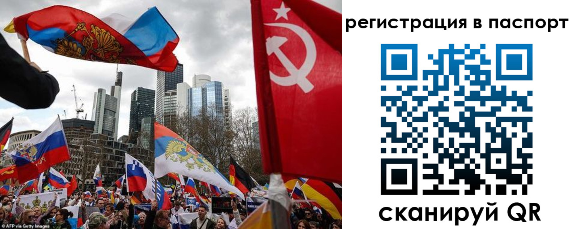 временная регистрация поиск в Ярославской области